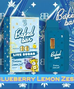 Blueberry Lemon Zest baked bar 2G
