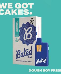 Blueberry Space Cake | Resin Rosin Blend | 2Gram Disposable {Sativa}